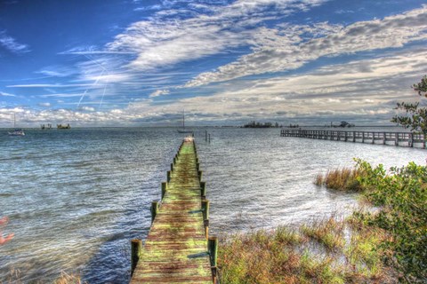 Framed Green Pier And Sea Grass Print
