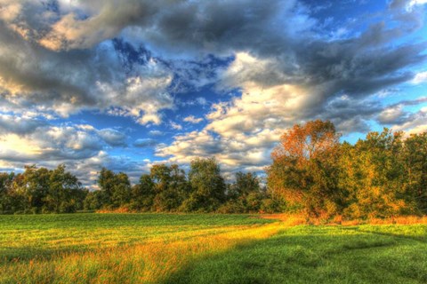 Framed Late Summer Light Print