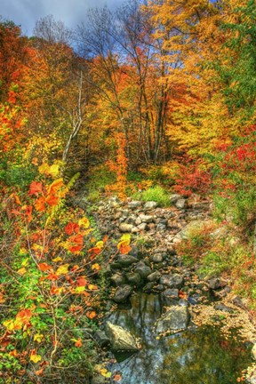 Framed Low Water Brook Autumn Print
