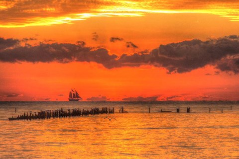 Framed Old Pier And Gull After Sunset Print