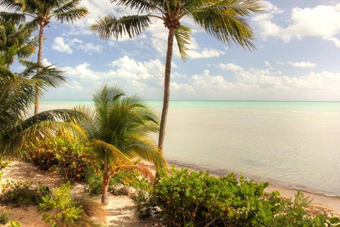 Framed Quiet Beach Print