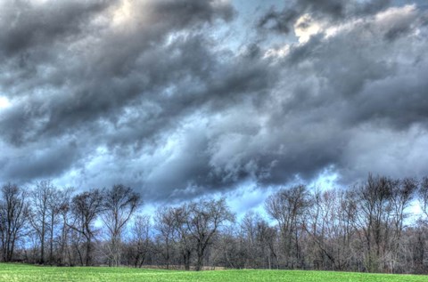 Framed Back 20 1 Print