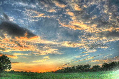 Framed Back 20 Sunset 2 Print