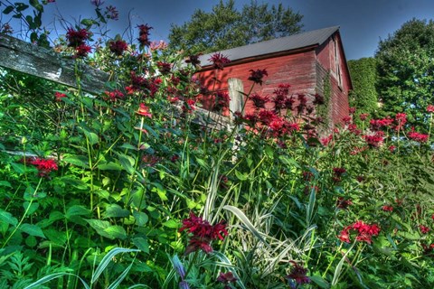 Framed Barn And Minarda 3 Print