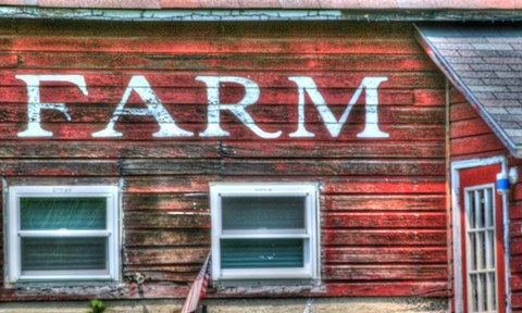 Framed Farm Lettering 2 Print
