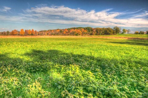 Framed Meadow Early Autumn Print