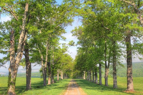 Framed Mohonk I Print