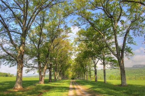 Framed Mohonk III Print