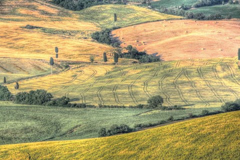Framed Tuscan Field Patterns Print