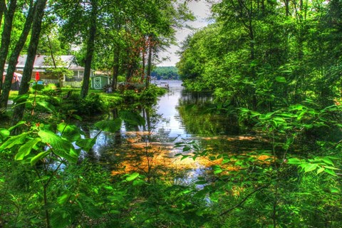 Framed Pond Cove Print