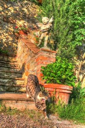 Framed Tuscan Vertical Cat on Stairs Print