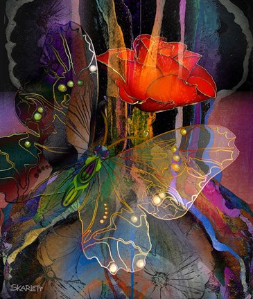 Framed Red Rose Print