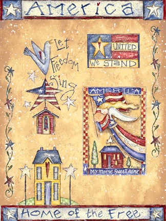 Framed Patriotic Pattern II Print