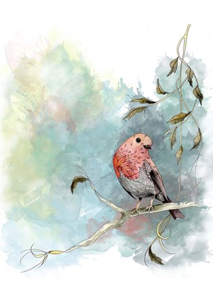 Framed Robin&#39;s Winter Print