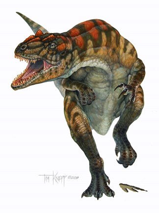 Framed Allosaurus Print