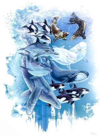 Framed Ocean Mammals Print