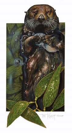 Framed Sea Otter Print
