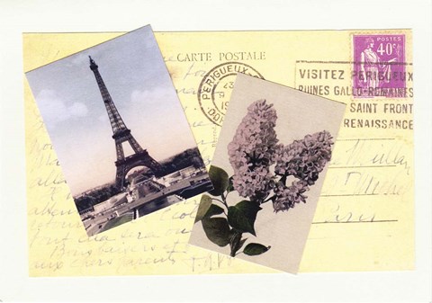 Framed Travel Paris Flower Print