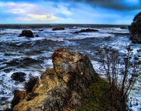 Framed Poets Retreat Print