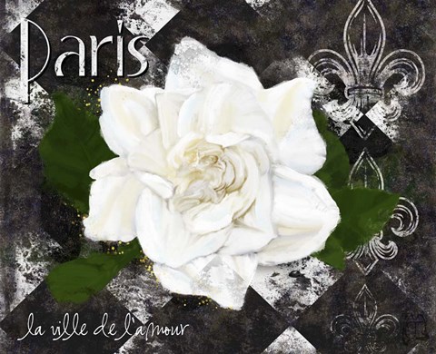 Framed Paris La Vill De L&#39;amour Print