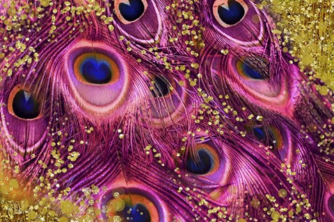 Framed Buried Treasure V Print