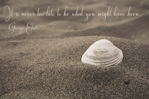 Framed Never Too Late Print