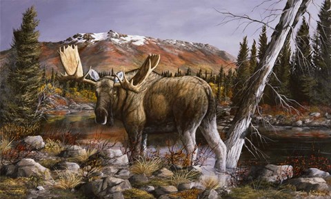 Framed Evening Solitude Print