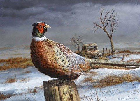 Framed Old Perch Print