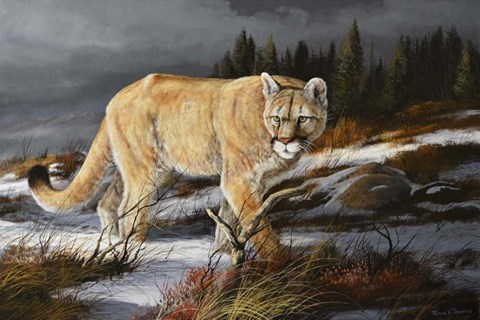 Framed Evening Hunter Print