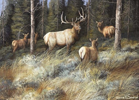 Framed Moving In To Cover Print