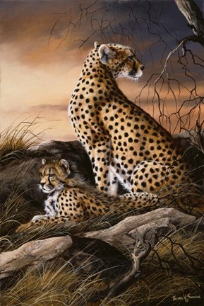 Framed Cheetahs Of Dusk Print