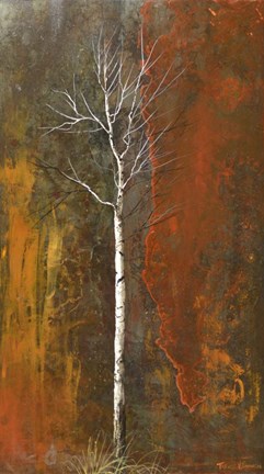 Framed Weathered Print