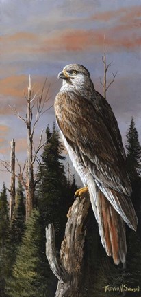 Framed Storm Watcher Print