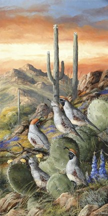 Framed Warm Spring Evening Print