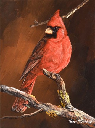 Framed Winter&#39;s Perch 1 Print