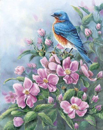 Framed Blue Bird And Wild Roses Print