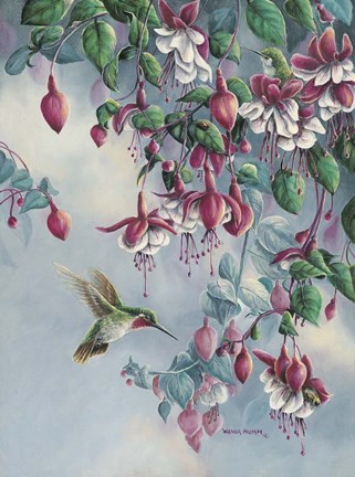 Framed Hummingbird And Honeysuckle Print