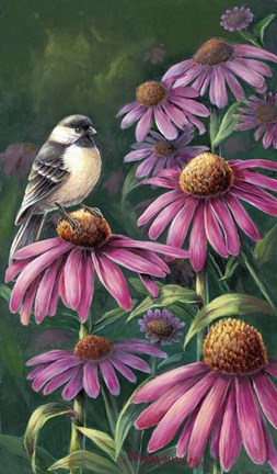 Framed Chickadee Print