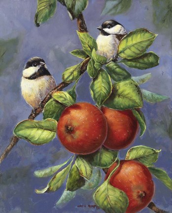 Framed Chickadees And Apples Print