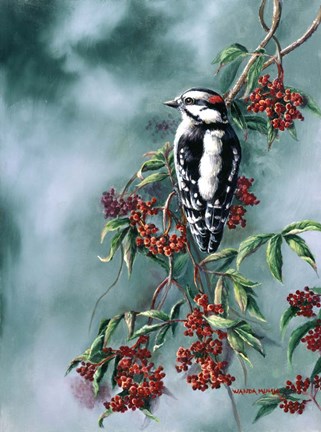 Framed Woodpecker With Red Berries Print