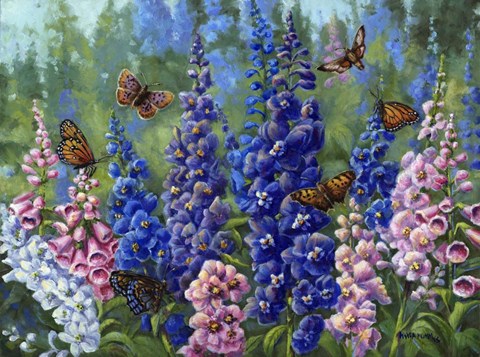 Framed Butterfly And Delphinium Print