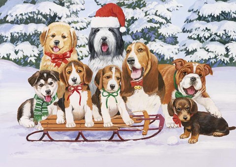 Framed Sled Dogs Print