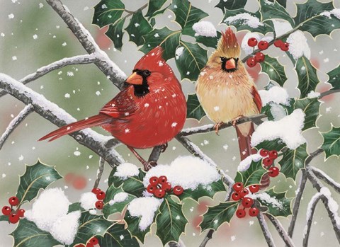Framed Snowy Perch - Cardinals Print