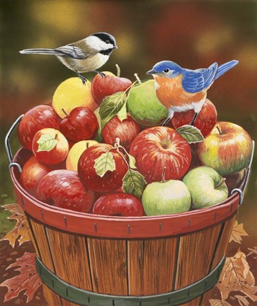 Framed Apple Harvest Print