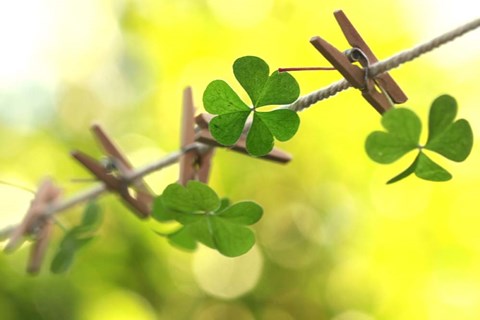 Framed Good Luck For The Future Print