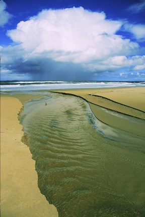 Framed Beach Tales 1 Print
