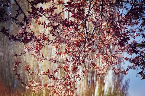 Framed New Possibilities Print