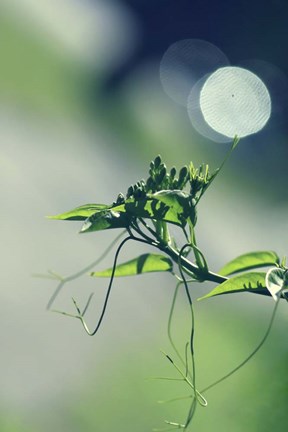 Framed Waking Up Print