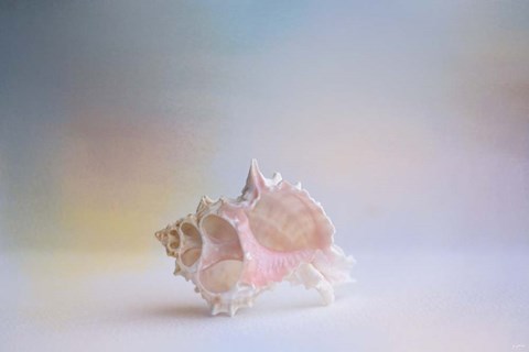 Framed Beach Memories 3 Print