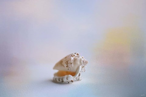 Framed Beach Memories 4 Print